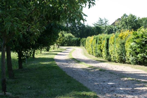 Appartamento Vilmblick