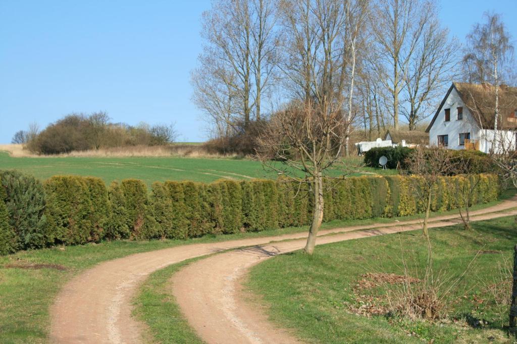 Vilmblick *